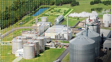 The Role of Digital Technology in Biofeedstocks, Value Chemicals and Fuels